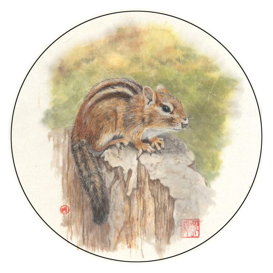 Eastern Chipmunk - Chinese brush painting - 2020 - 18