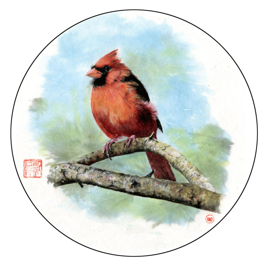 Northern Cardinal - Chinese brush painting - 2019 - 18