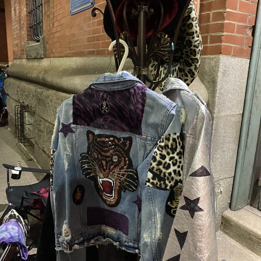 Tiger upscaled jacket made in 2019 (pic-Artcrawl 2019)