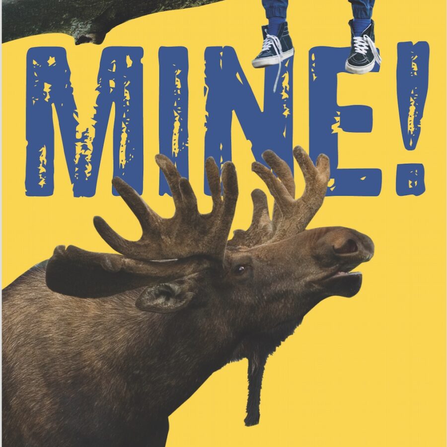 The cover of the middle grade novel, Mine!