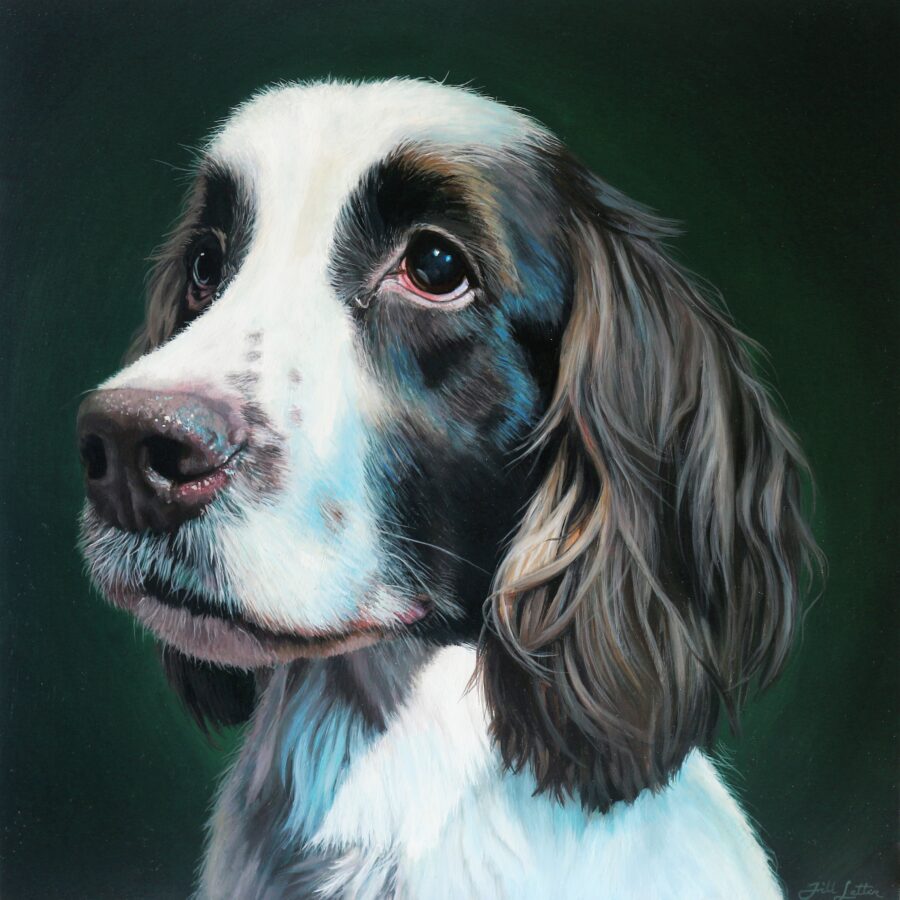 A french spaniel dog is painted on a dark green background