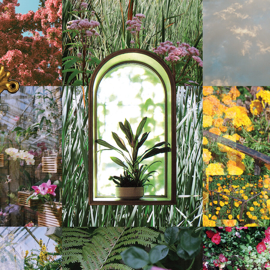 A close up crop from a large public art piece featuring 35mm photographs placed in a grid. THe photos include natural imagery, clouds / flowers / grass and in the center is a sourced image from a vintage book with a plant in a pot sitting in a window. 