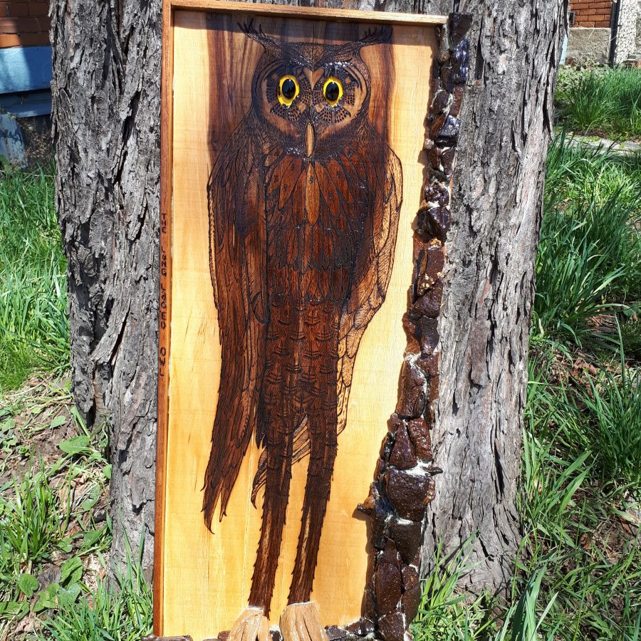 Woodburned owl on pine