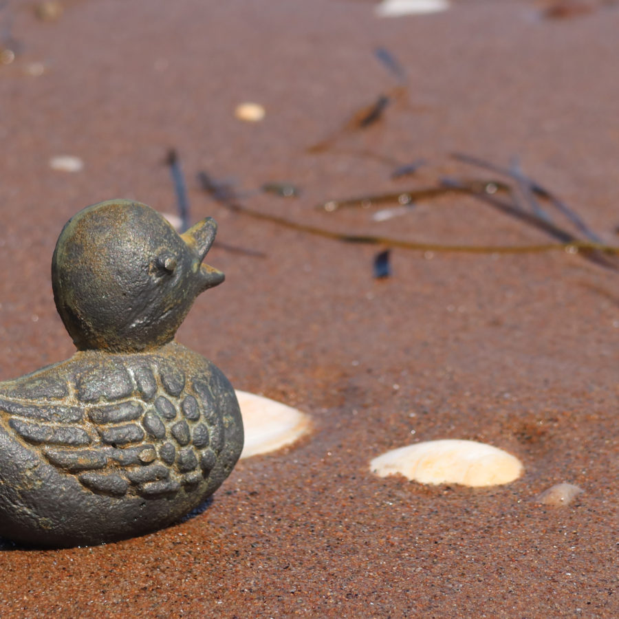 cast iron ducky on wet beach sand