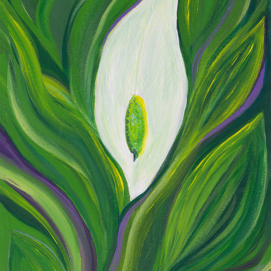 Green organic lines and shapes around a peace lily.