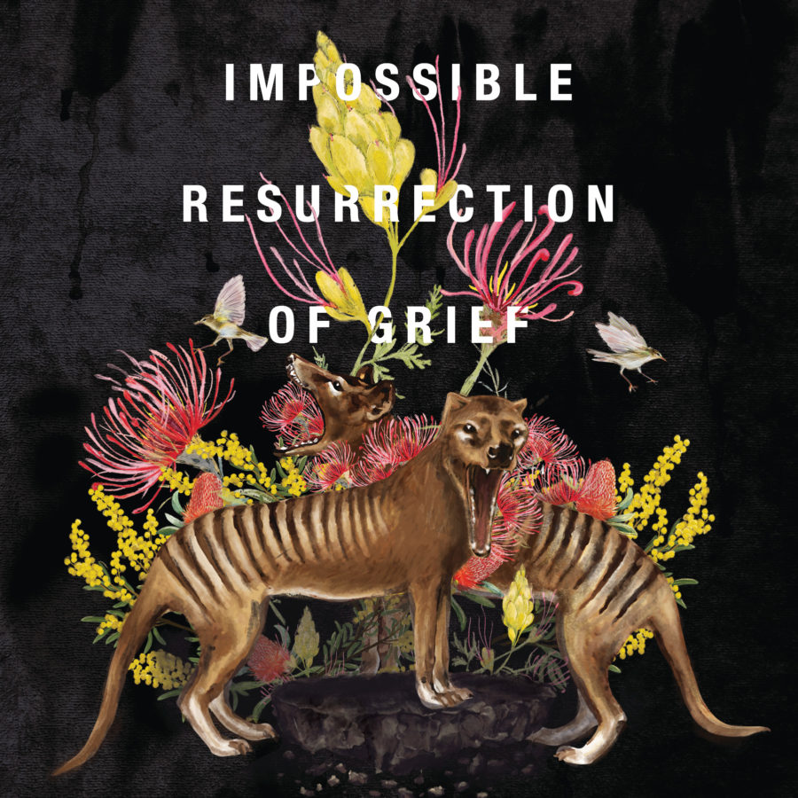 The cover of Octavia Cade's THE IMPOSSIBLE RESURRECTION OF GRIEF, featuring two open-mouthed thylacines in front of a collection of brightly coloured Australian flowers. Cover by Toronto artist Rachel Yu Lobbenberg.