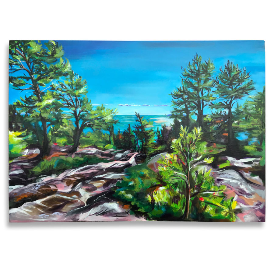 Chikanishing Trail, 27.5x19.5” acrylic painting 