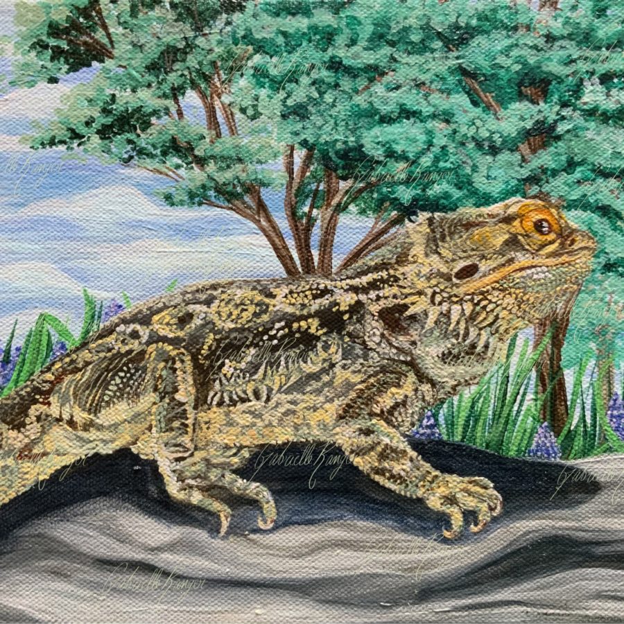 Baby Dragon, 2023. Acrylic on canvas. 8’’ x 10’’. This is an example of pet portraits that I make on commissions. In this piece, a bearded dragon has been memorialized for a mourning client.  