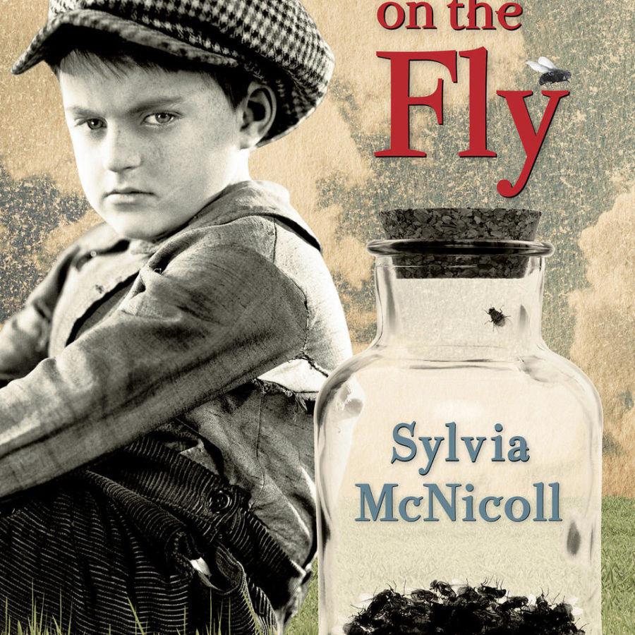 Cover of Revenge on the Fly with image of 11 year-old boy in historical garb from 1912.