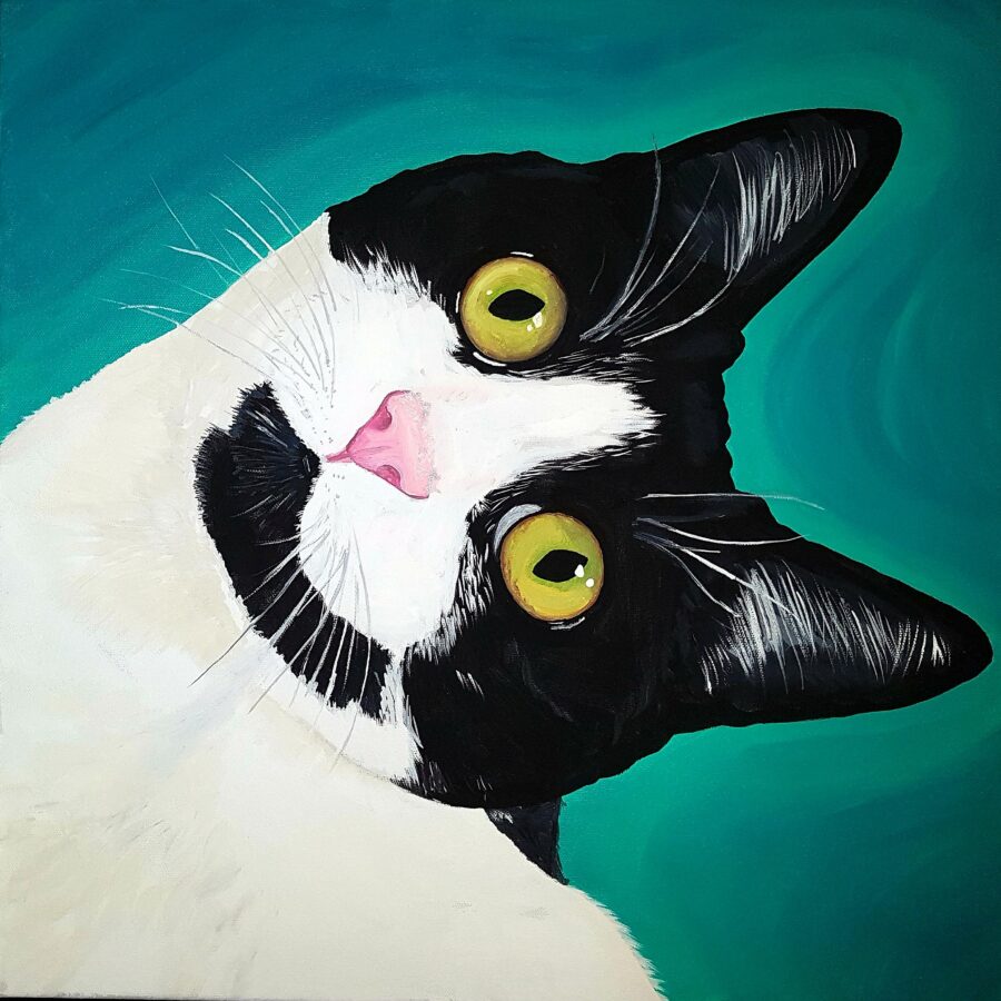 A painted black and white cat with it's head tilted on a turquoise background.