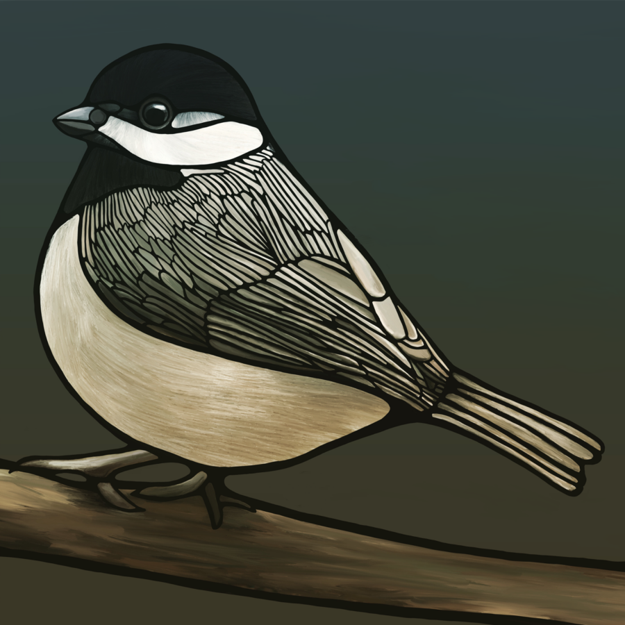 Chickadee, 2021, Digital Illustration