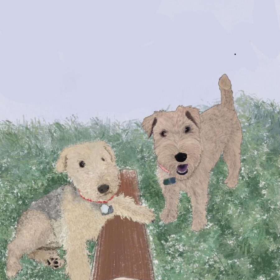 A digital drawing showing two Lakeland terries with a log in between them. The sky is pale grey and their are in a field of grass. The dog on the left is sitting and leaning with one paw over the log. The dog on the right is standing and alert.
