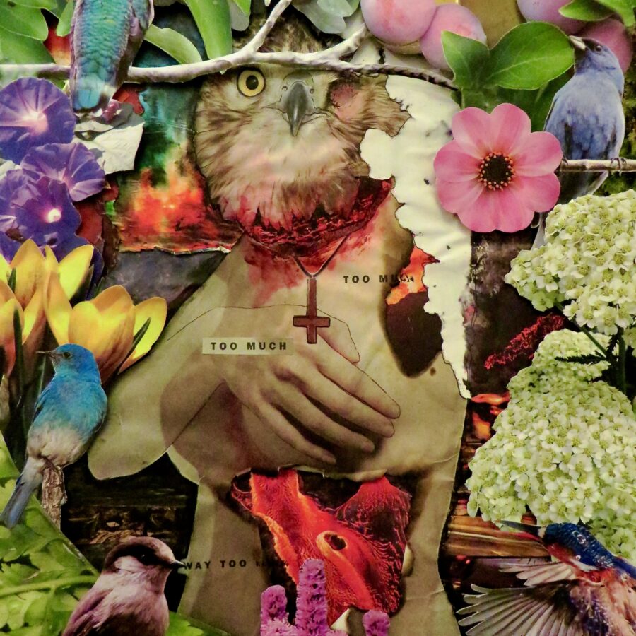 too much-Collage-8x10-2018