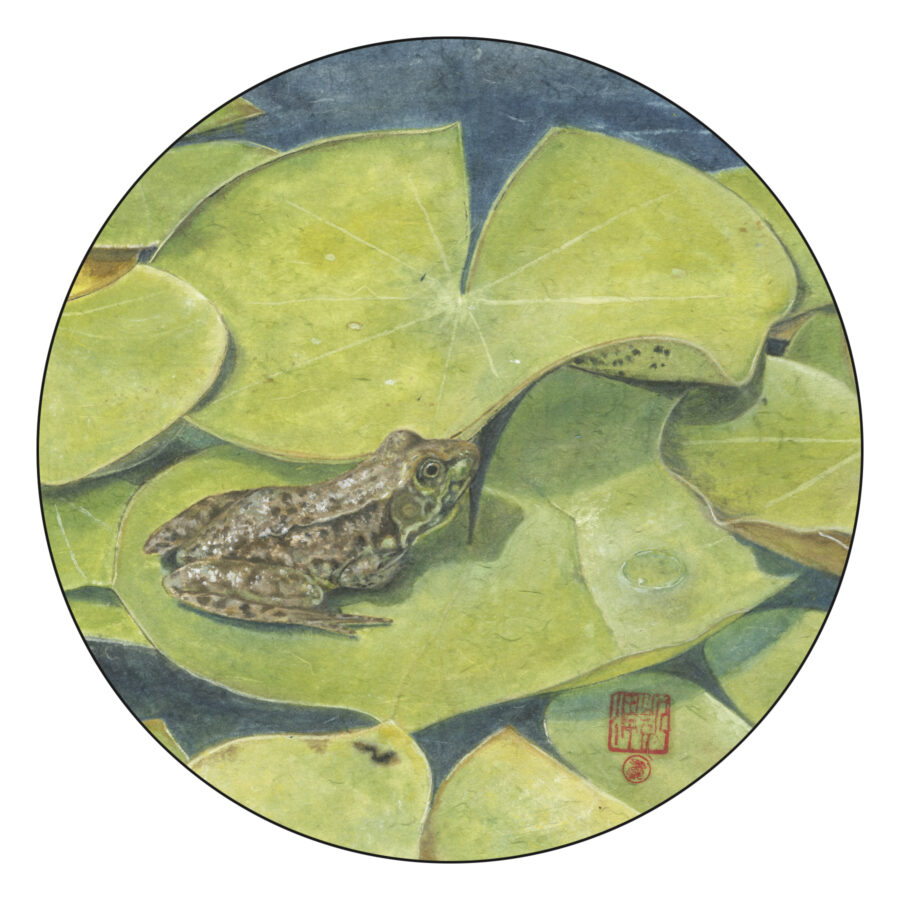 Northern Leopard Frog - Chinese Brush Painting - 2023 - 18