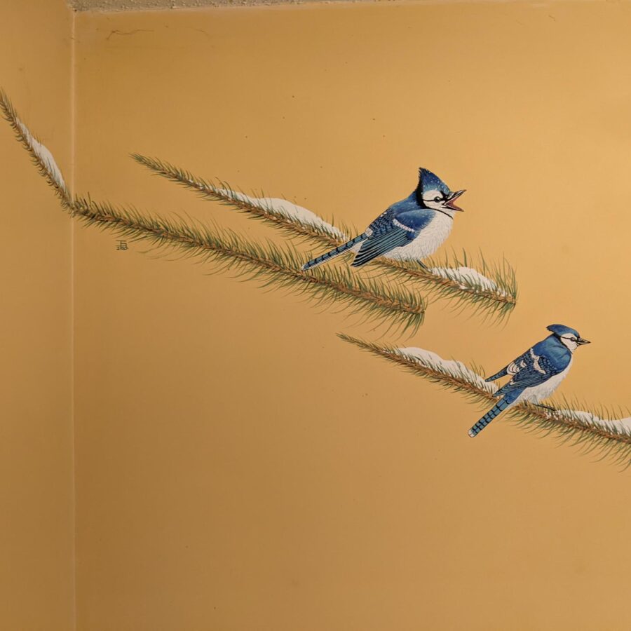 Photo of the Blue Jays I painted on our kitchen wall