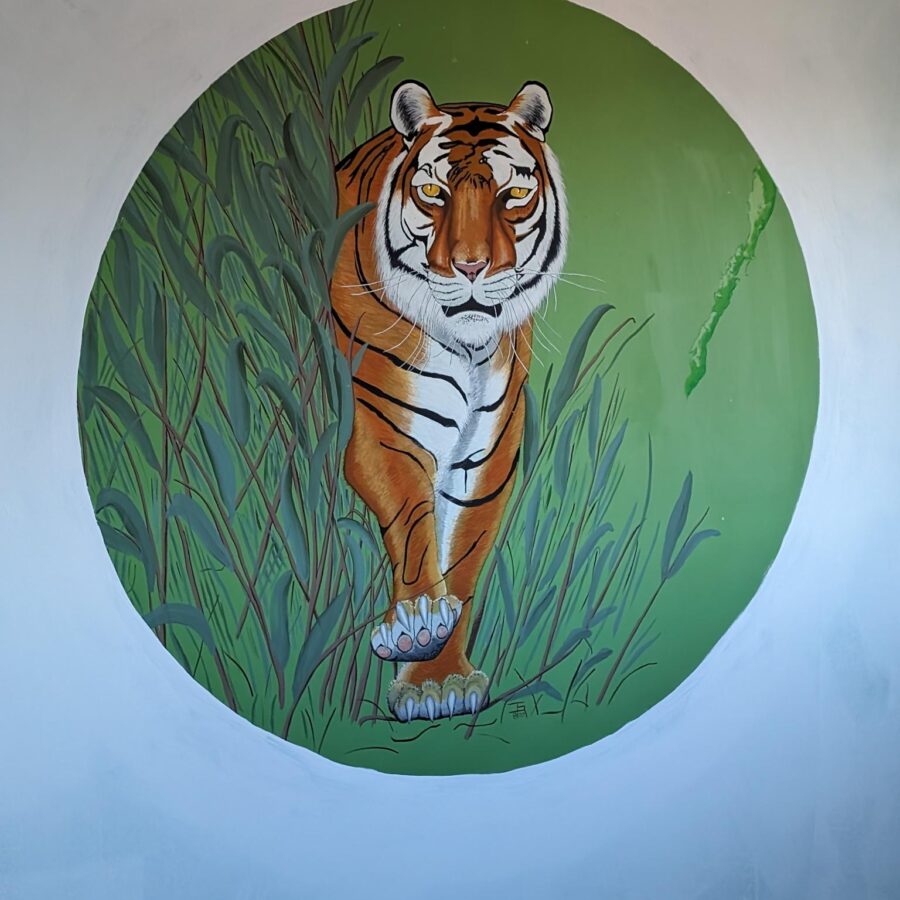 Photo of the Bengal Tiger I'm painting on my wife's sewing room wall.